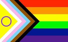 Inclusivity Flag