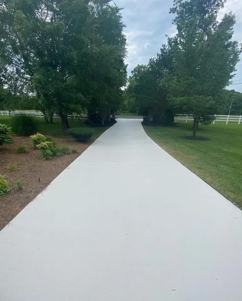 Long, light gray concrete driveway leading through trees and green grass.