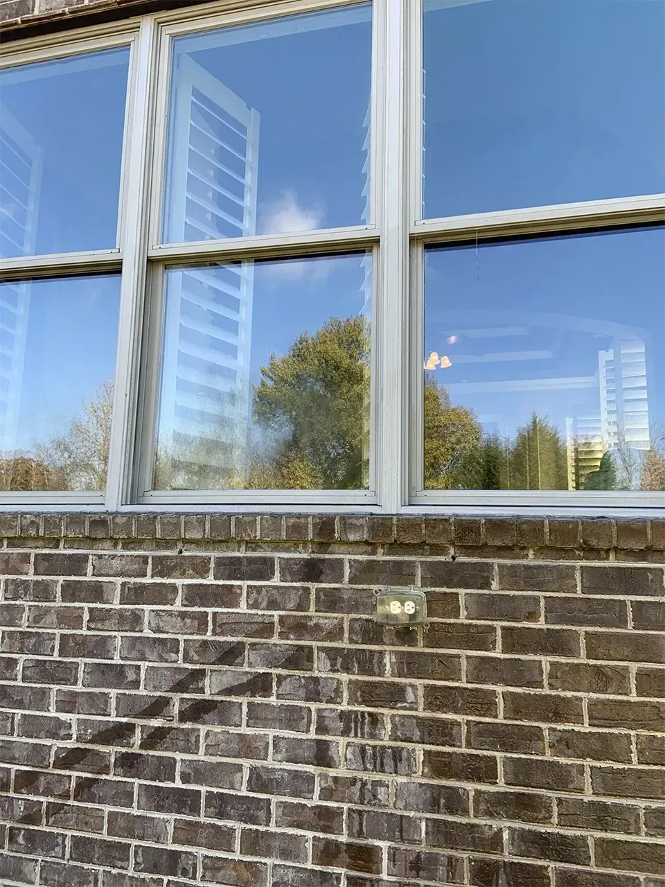 Brick building exterior with windows reflecting the sky and a tree.