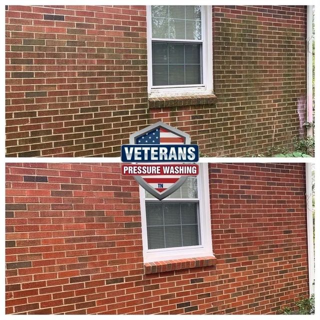 Side-by-side comparison of a brick wall before and after power washing, showcasing the removal of green algae.