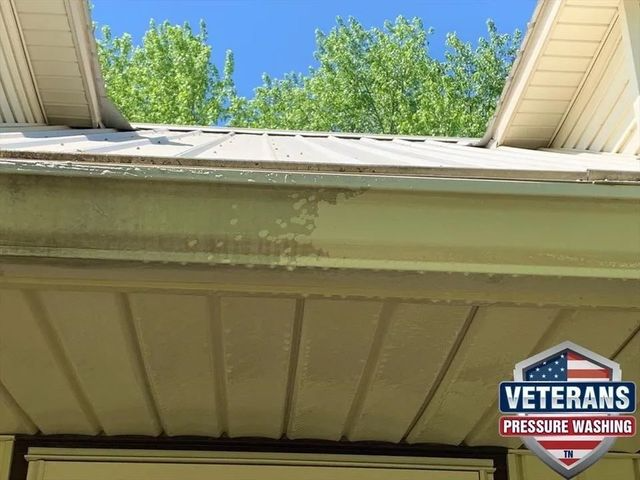 Dirty gutter on a house, with the sky and trees visible in the background.
