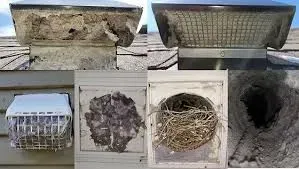 Four images showing clogged dryer vents and chimney caps with accumulated lint and debris.