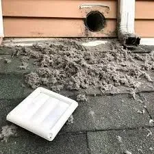 Lint and debris from a dryer vent on a roof; white vent cover, brown siding.