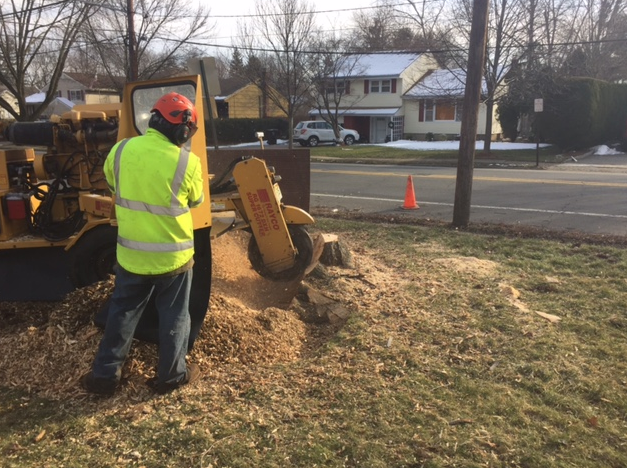 a man is using a stump grinder to remove a tree stump.