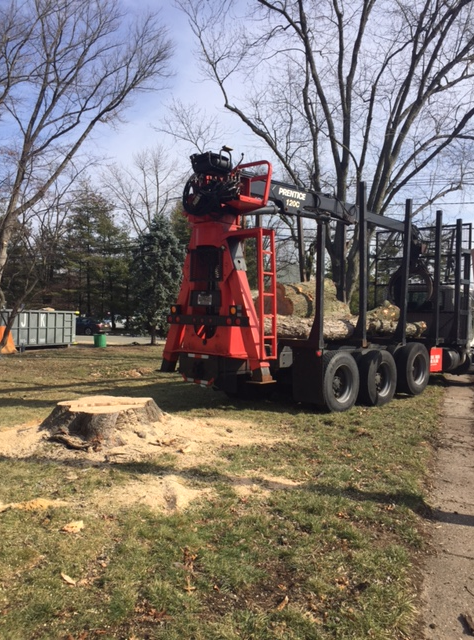 a truck is carrying a large tree stump in a field.