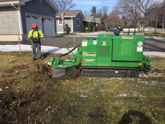 a man is standing next to a green machine that is cutting a tree stump.