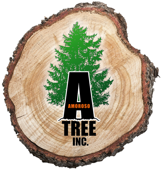 amoroso-tree-service-inc-logo