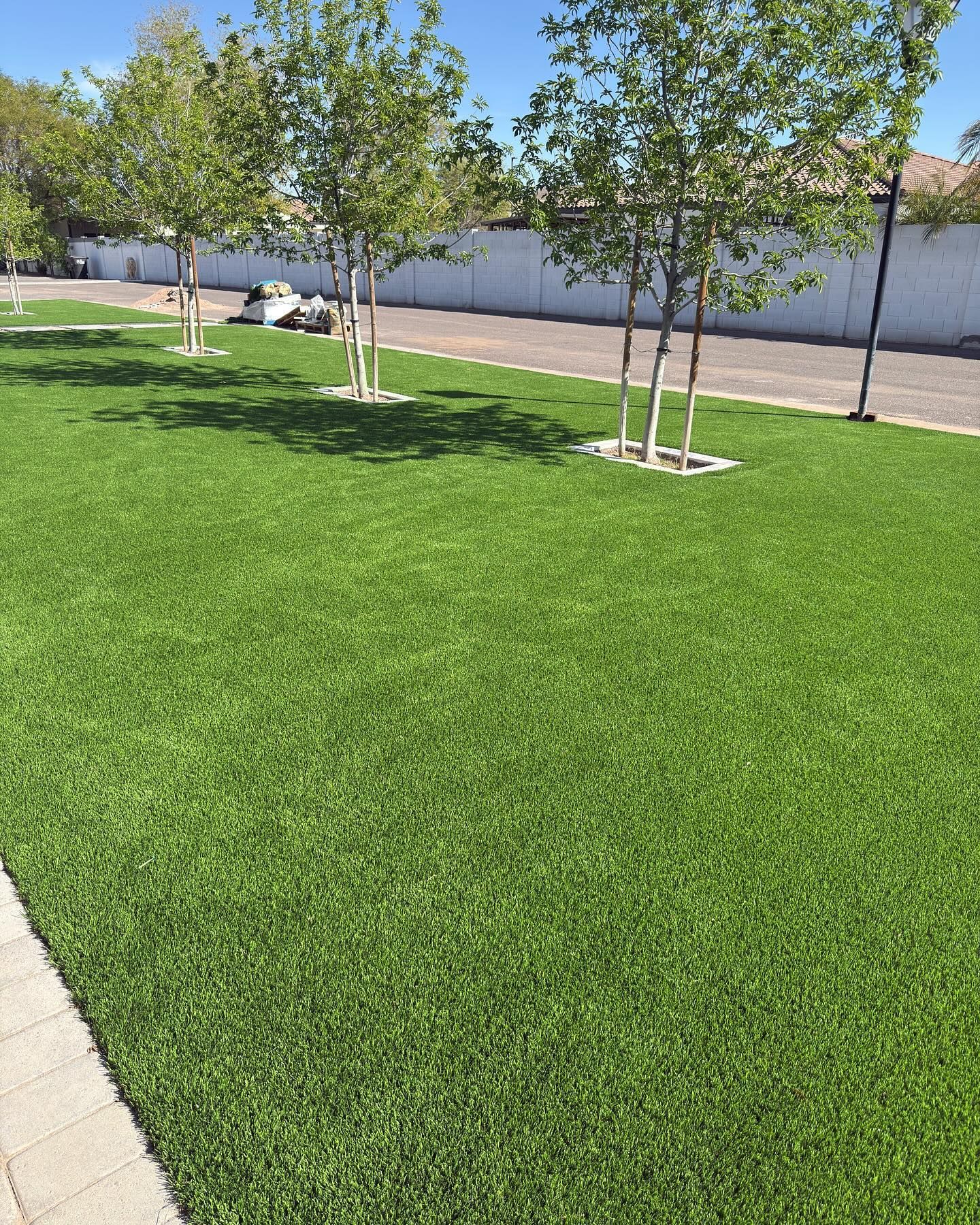 Green artificial turf with trees in a sunny park setting; a white wall is in the background.