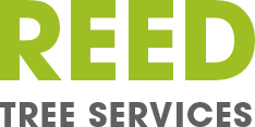 Reed Tree Services - Logo
