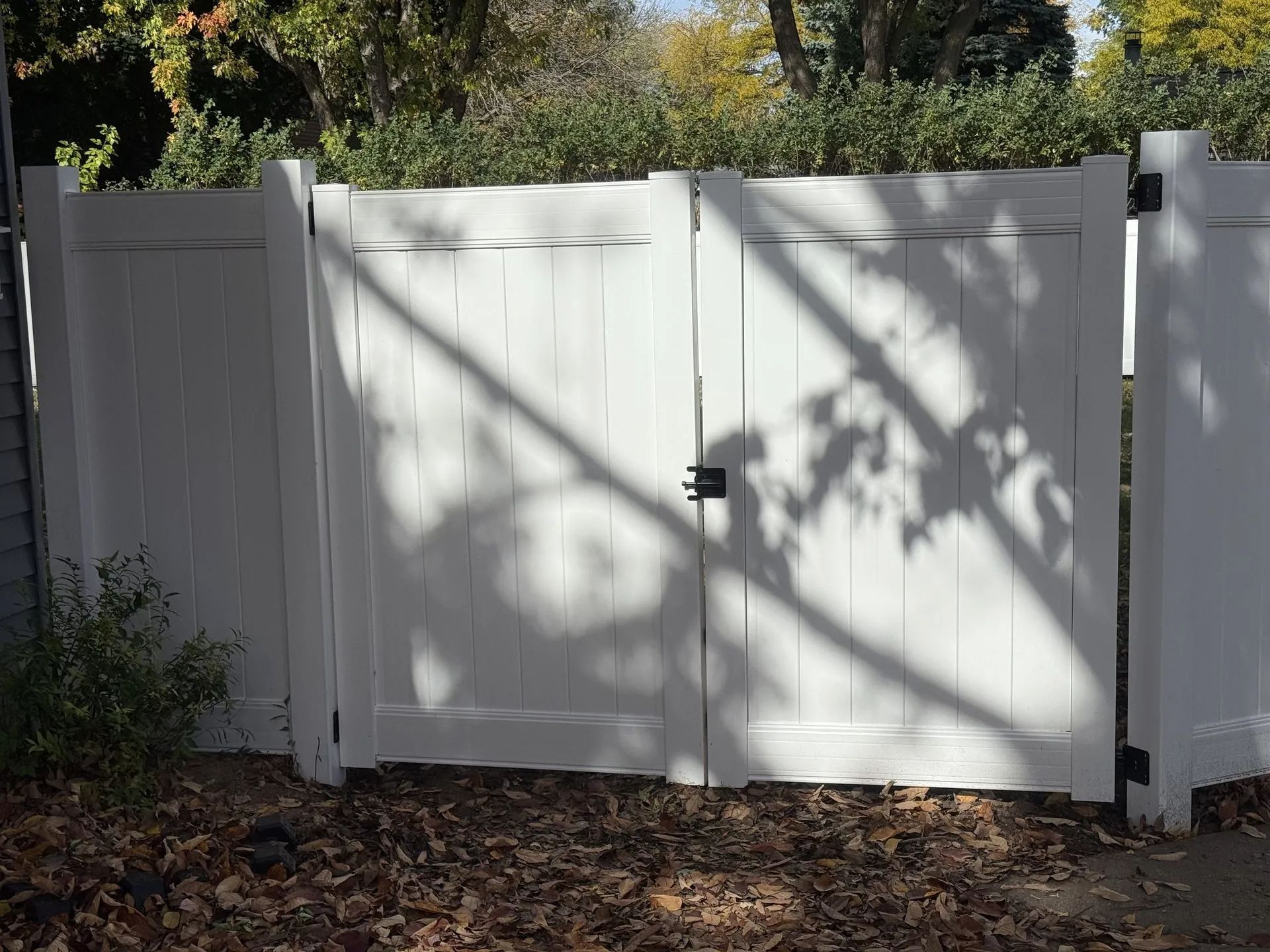 White wooden double gate in a white fence, shadowed by tree branches, set in a yard with leaves.
