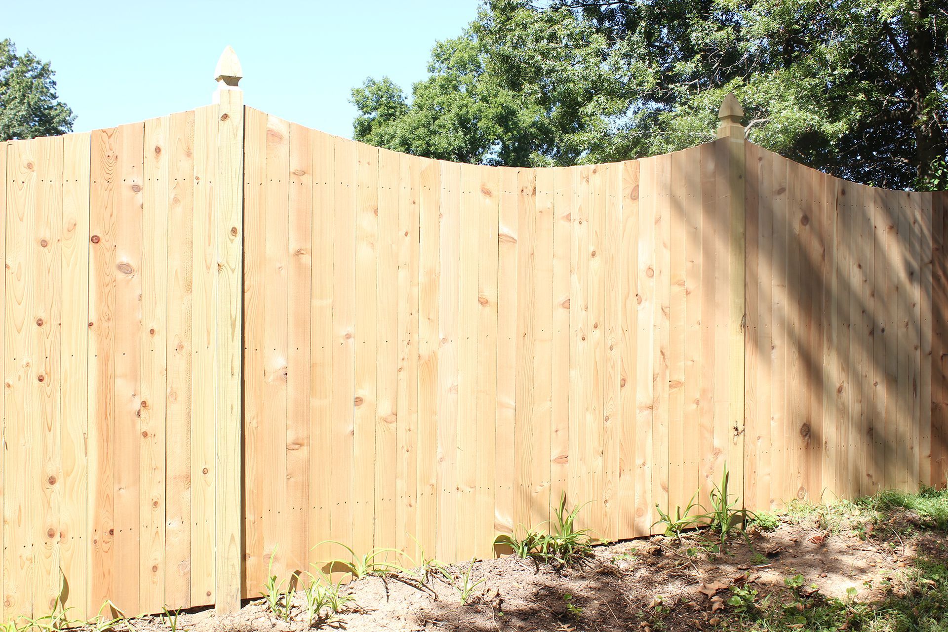 A wooden fence is surrounded by trees on a sunny day.