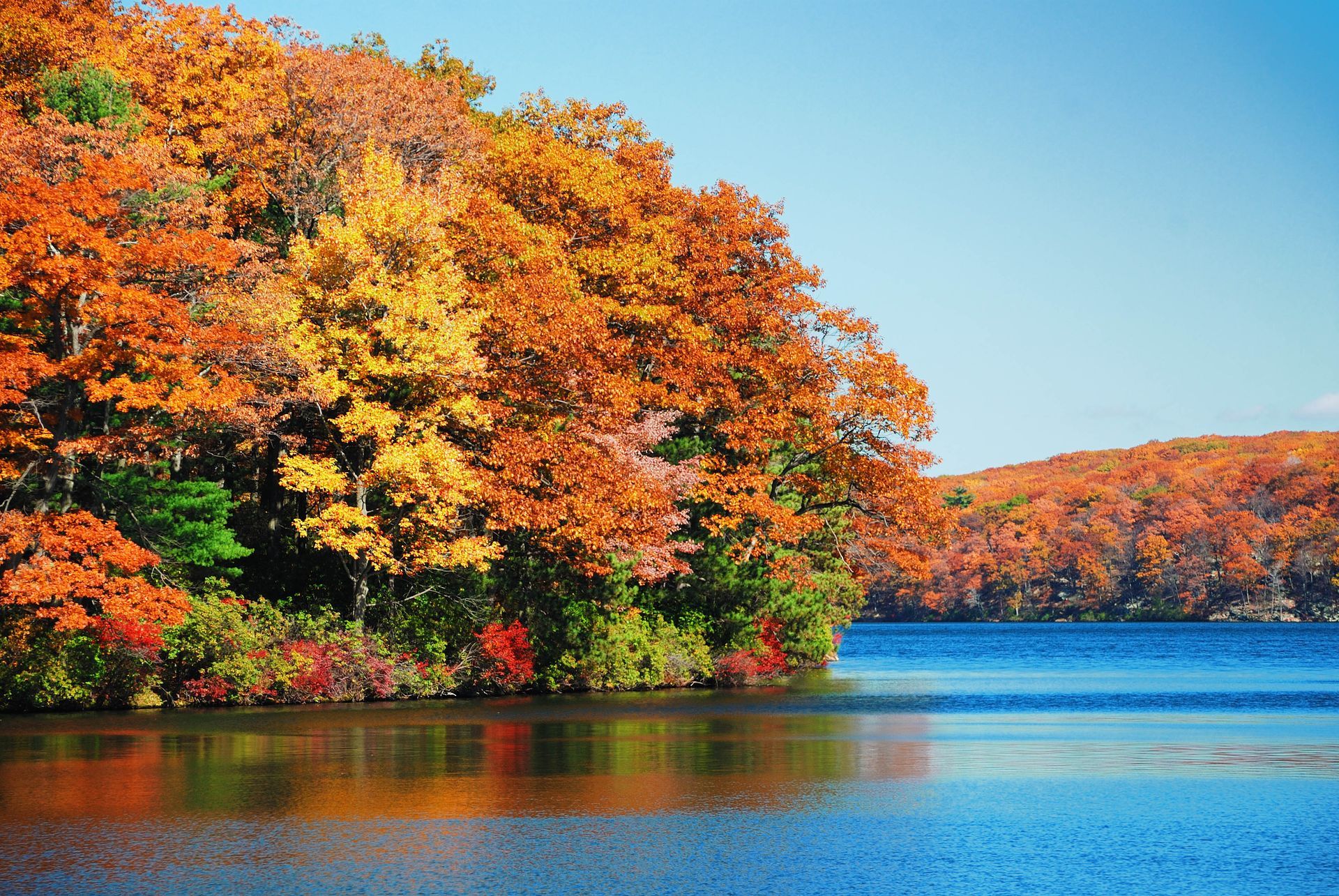 Autumn trees with orange foliage along a calm blue lake under a clear sky