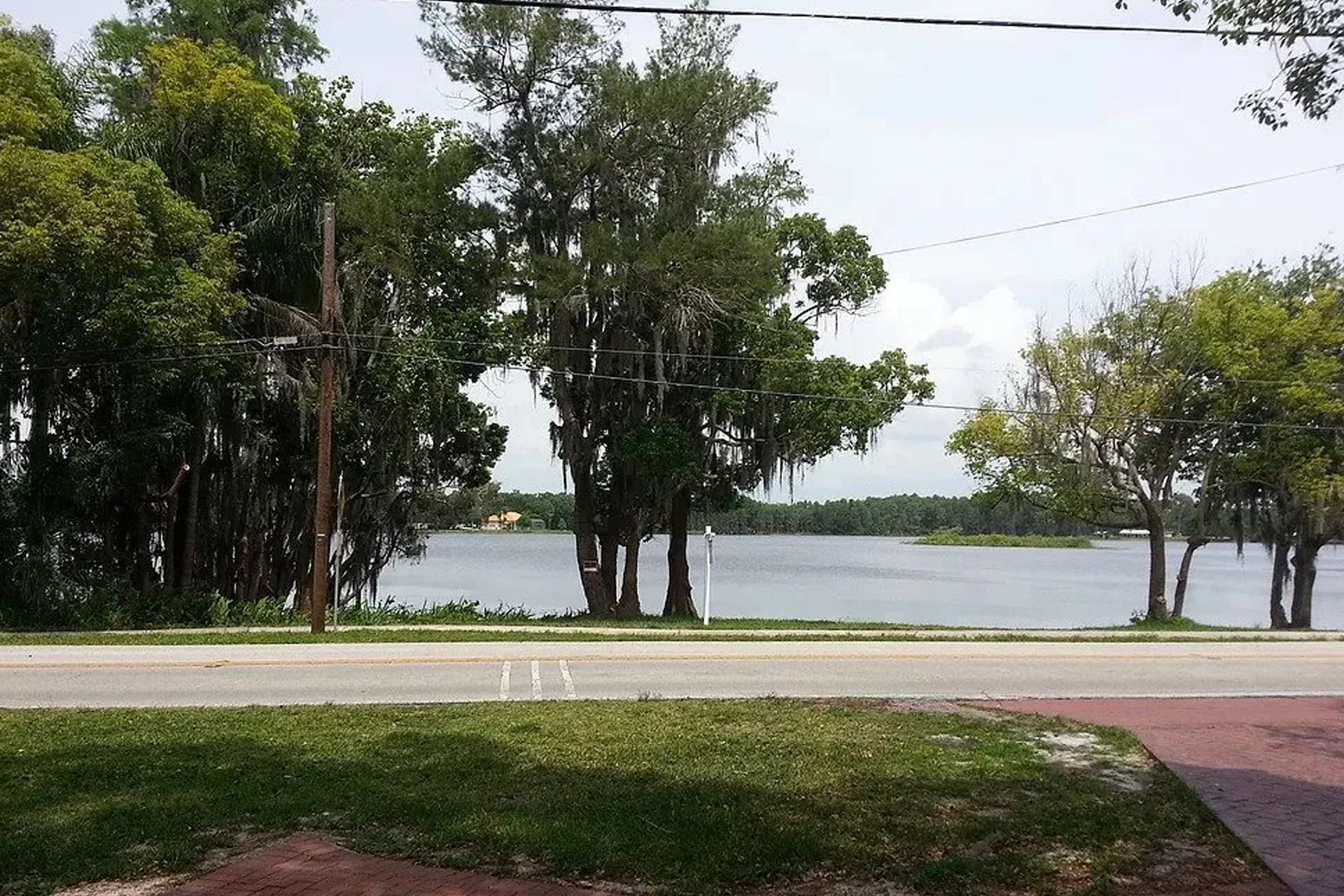 Roadside view of a lake bordered by trees; overcast sky.