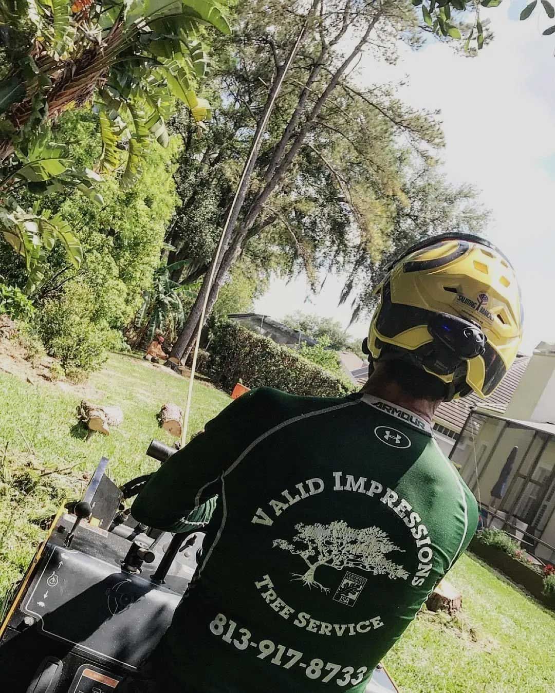 Valid Impressions Tree Service LLC