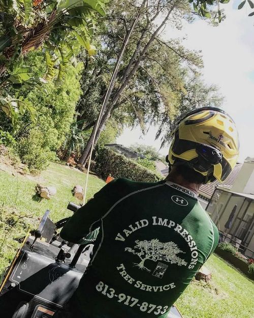 Valid Impressions Tree Service LLC