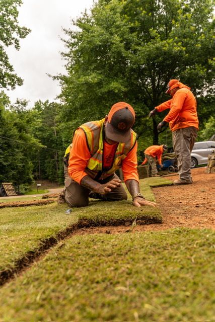 Workers in orange safety vests laying sod in a park-like area