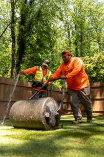 Two workers in orange shirts push a lawn roller across a grassy yard beside a wooden fence.