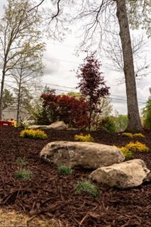 Landscaped garden bed with rocks, mulch, yellow flowers, and red shrubs under tall trees.