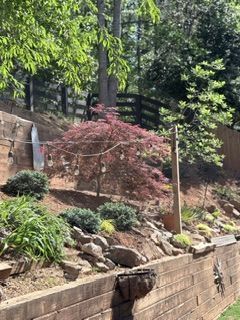 Terraced hillside garden with trees, rocks, shrubs, and a small red-leaf tree against a wooden fence
