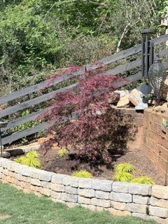 Small landscaped garden with a burgundy Japanese maple, stone retaining wall, and sloped wooden fence.