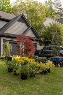 Potted ornamental plants arranged on a lawn in front of a suburban house and parked truck