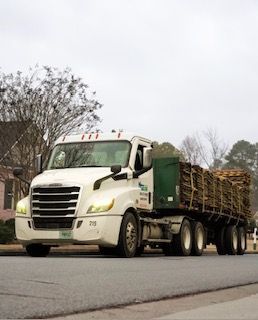 White semi-truck hauling logs on a road near bare trees