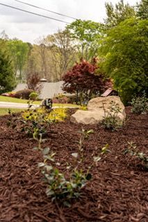 Mulched garden bed with shrubs, rocks, and a small tree in a landscaped yard