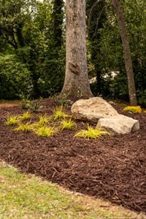 Mulched landscape bed with yellow plants, large rocks, and tree trunks in a wooded yard