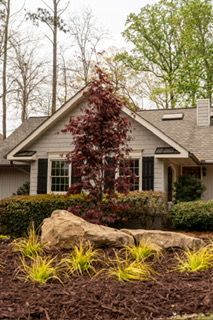 Landscaped house front with tan siding, red-leaf tree, rocks, and yellow shrubs
