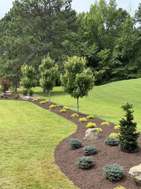 Landscaped garden with curved mulch bed, young trees, shrubs, and green lawn beside a wooded slope