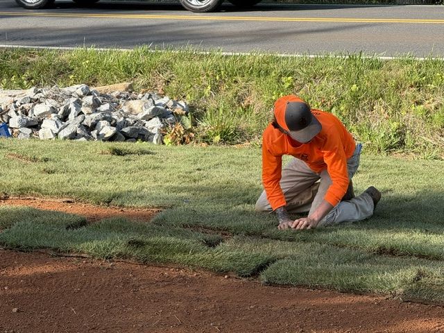 Worker in orange shirt kneeling to lay sod along a grassy roadside area.
