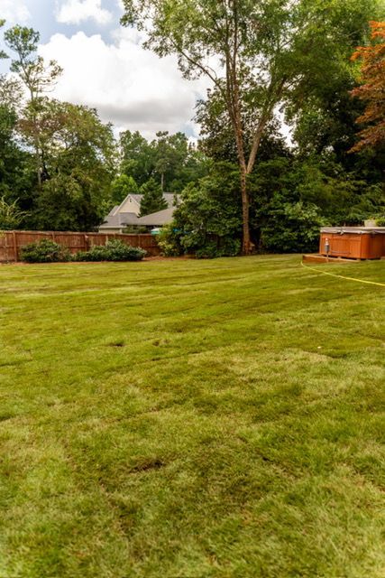 Grassy backyard with trees, wooden fence, and a cloudy sky