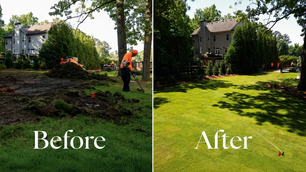 Lawn care before-and-after: muddy yard with worker on left, lush green lawn on right.