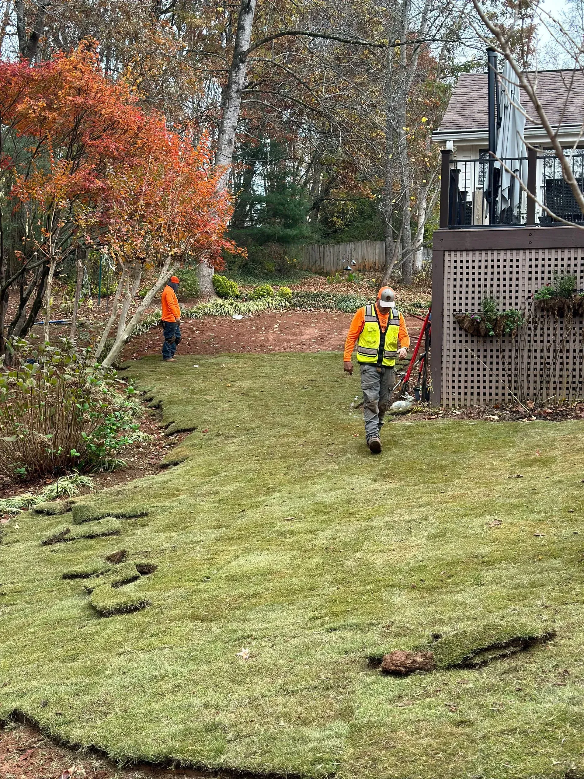 Workers laying sod in a backyard; one walking, another further back; fall foliage and house visible.