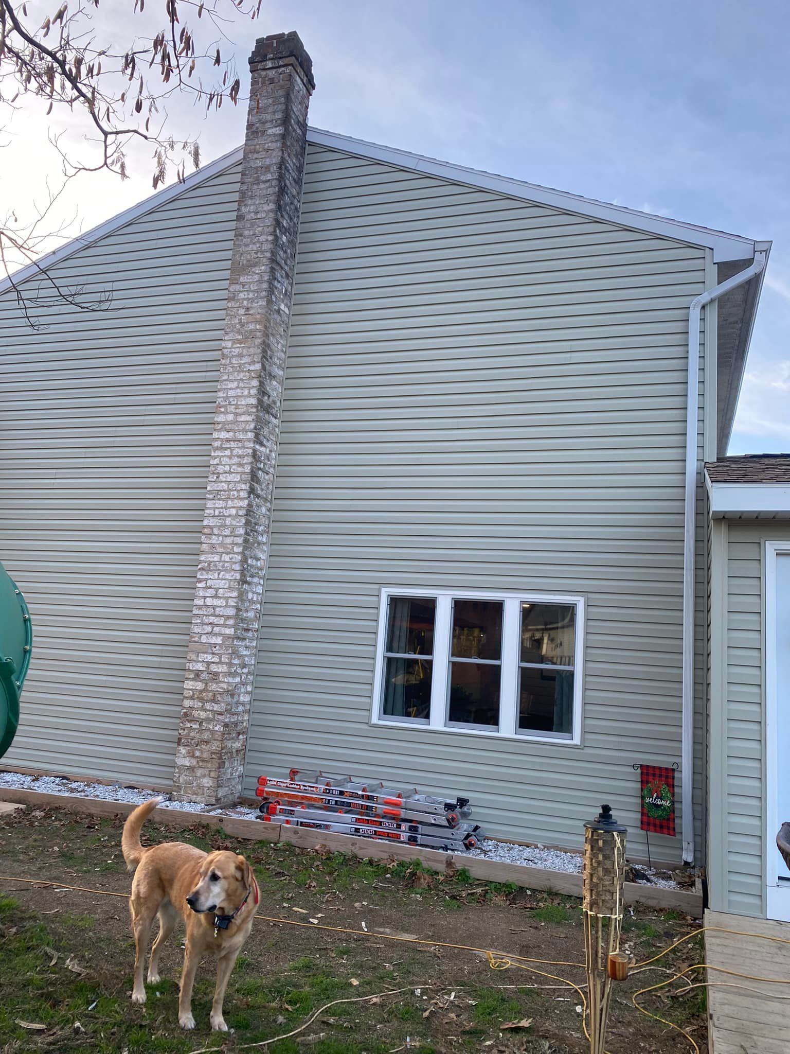 A dog is standing in front of a house with a chimney
