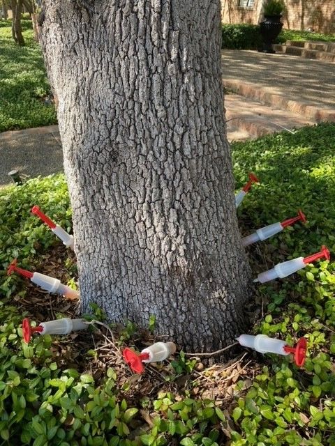 A tree trunk with a bunch of rockets sticking out of it.