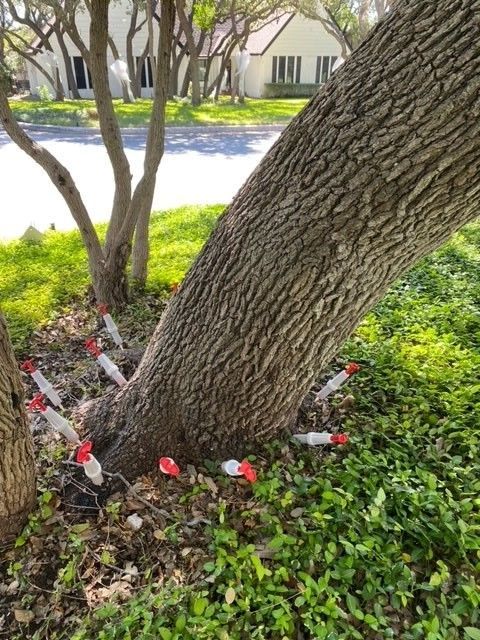 A tree with a bunch of red and white markers on it