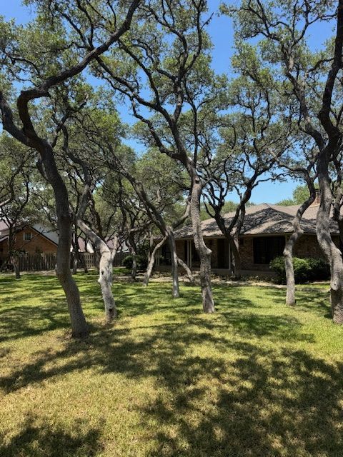 Lawn with trees in front of a house on a sunny day. Shadows from the trees cover the grass.