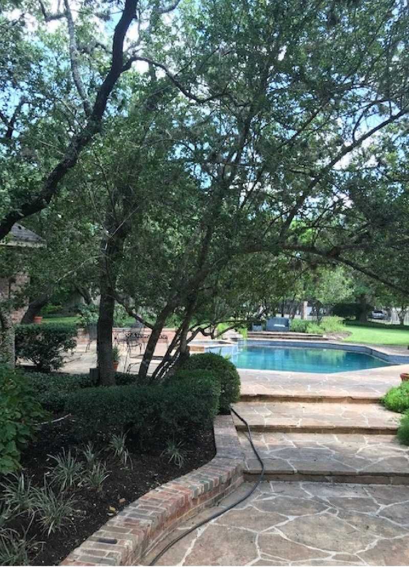 A large swimming pool surrounded by trees and bushes in a backyard.