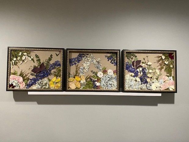 Three frames filled with dried flowers are hanging on a wall.