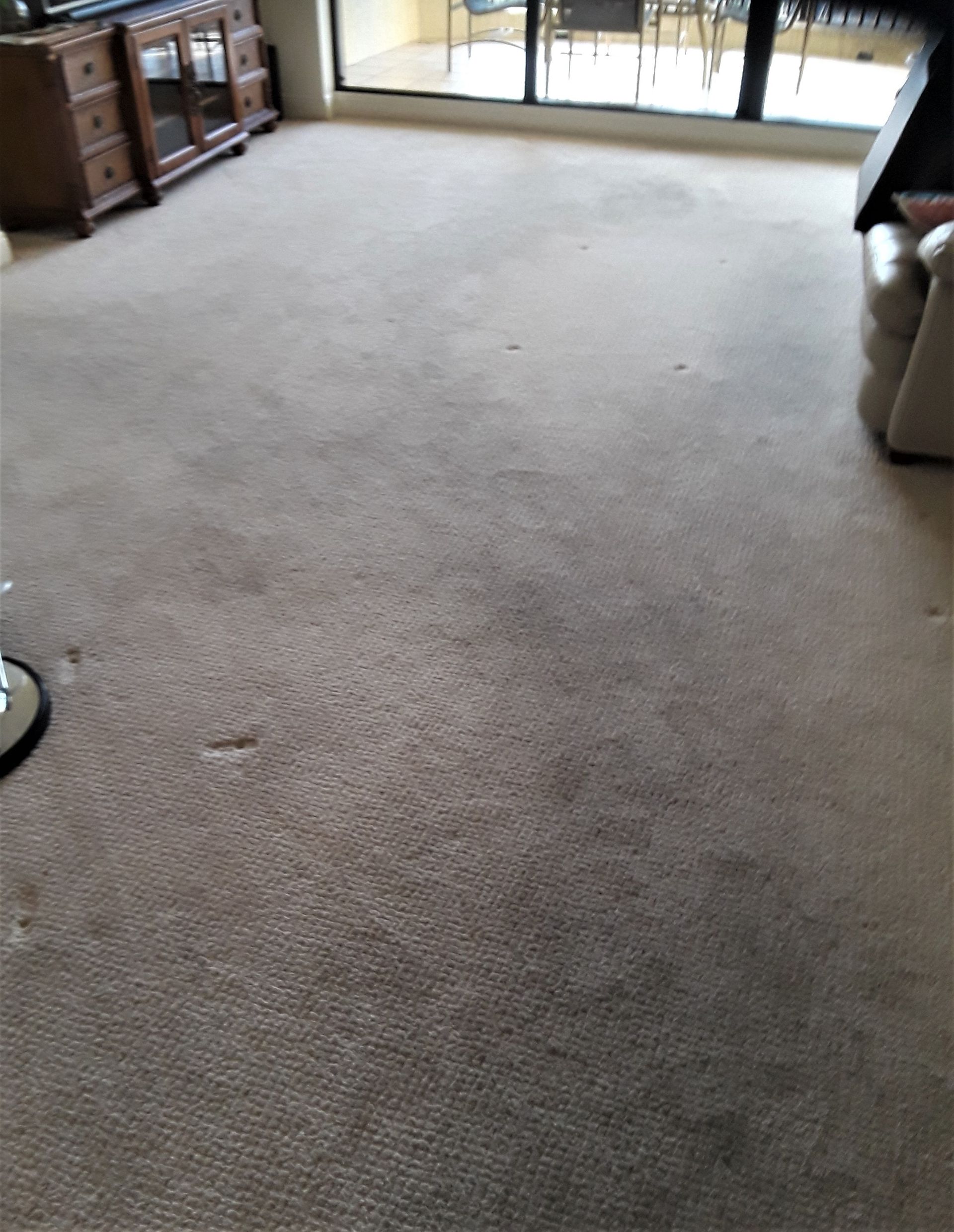 Carpeted living room with sliding glass doors and a wooden cabinet on the left
