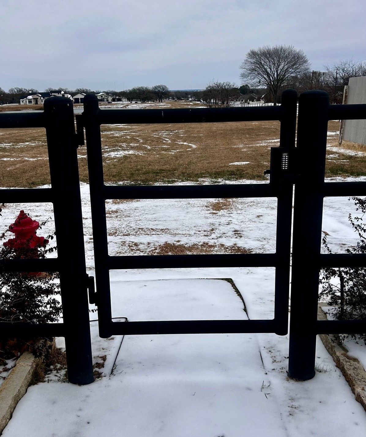 Snowy view through a black gate, overlooking a field. Red fire hydrant visible.
