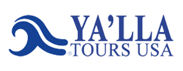 Blue wave logo next to