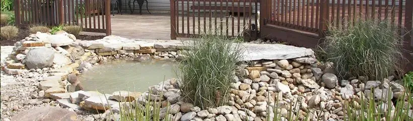 A small pond surrounded by rocks and grass with a wooden fence in the background.