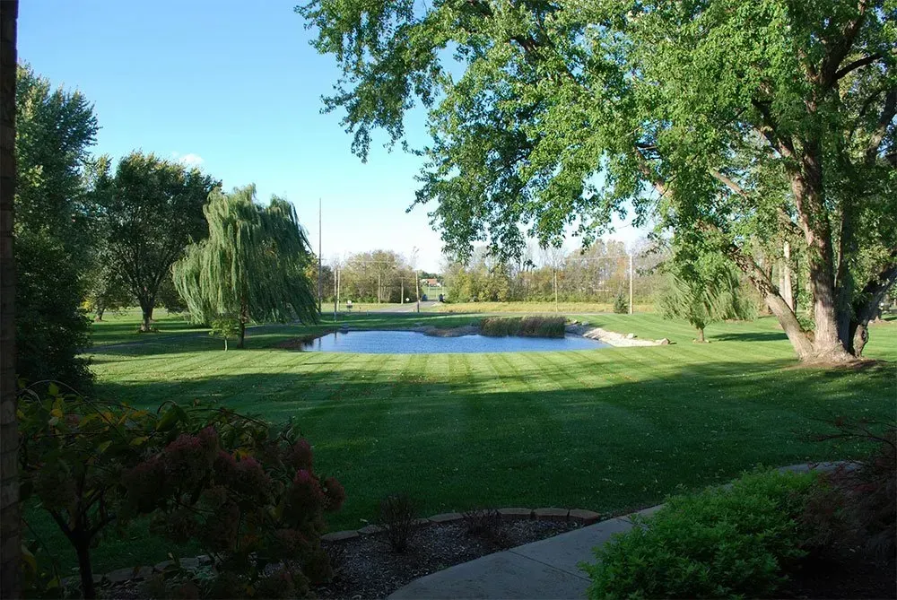There is a pond in the middle of a park surrounded by trees.