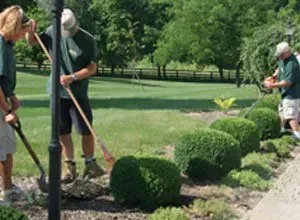 A group of people are working in a garden.