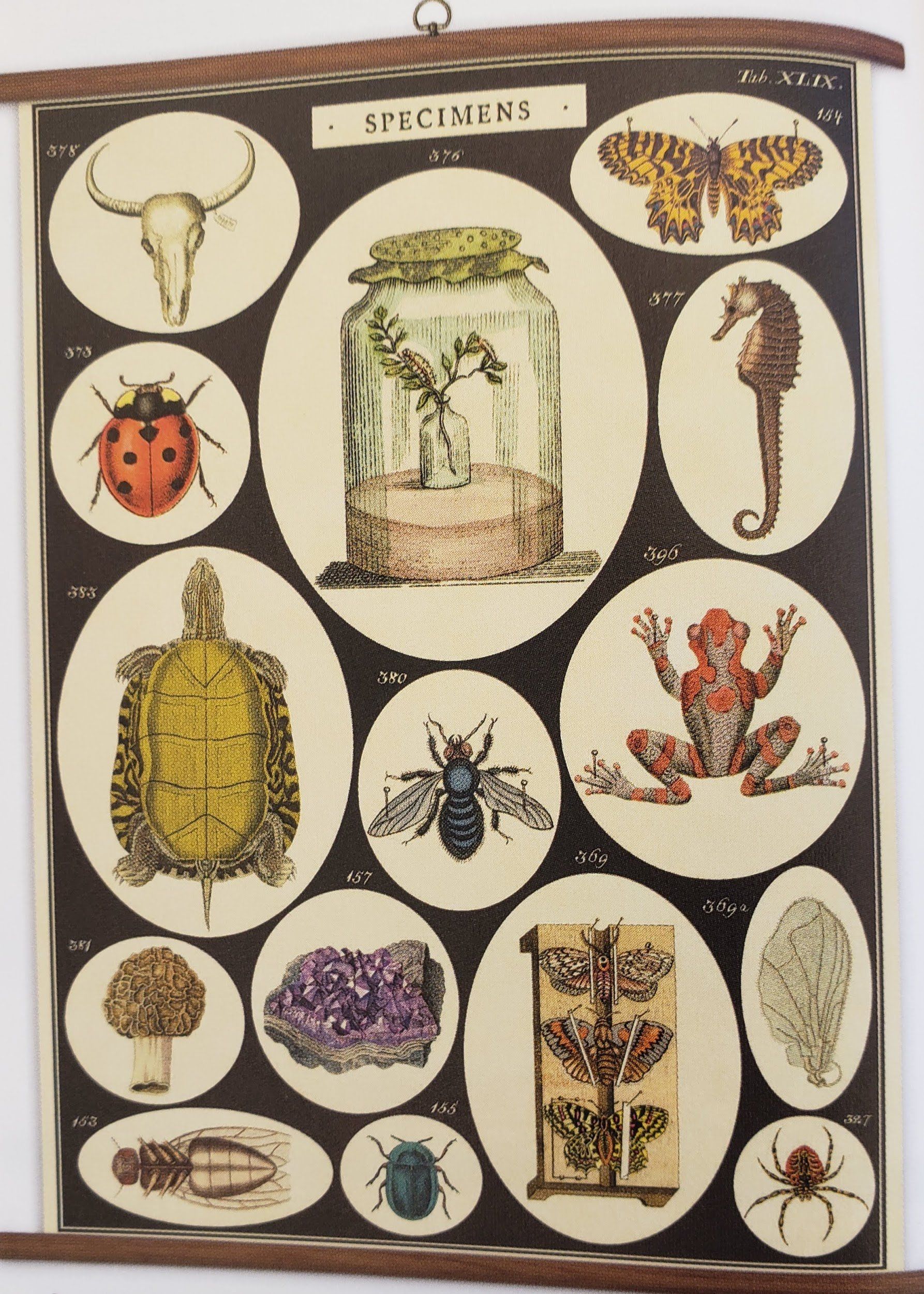 Cavallini & Co. of San Francisco Cards and Prints