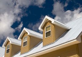 House roof and windows