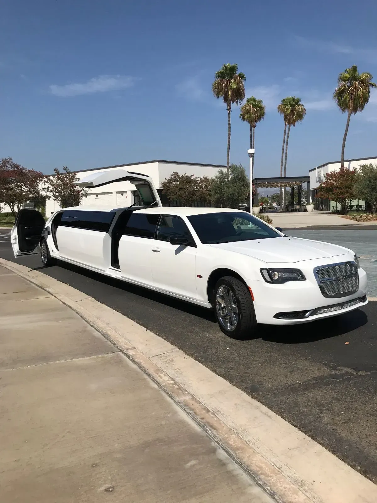 White limousine with gull-wing doors open, parked on asphalt with palm trees and a building in the background.