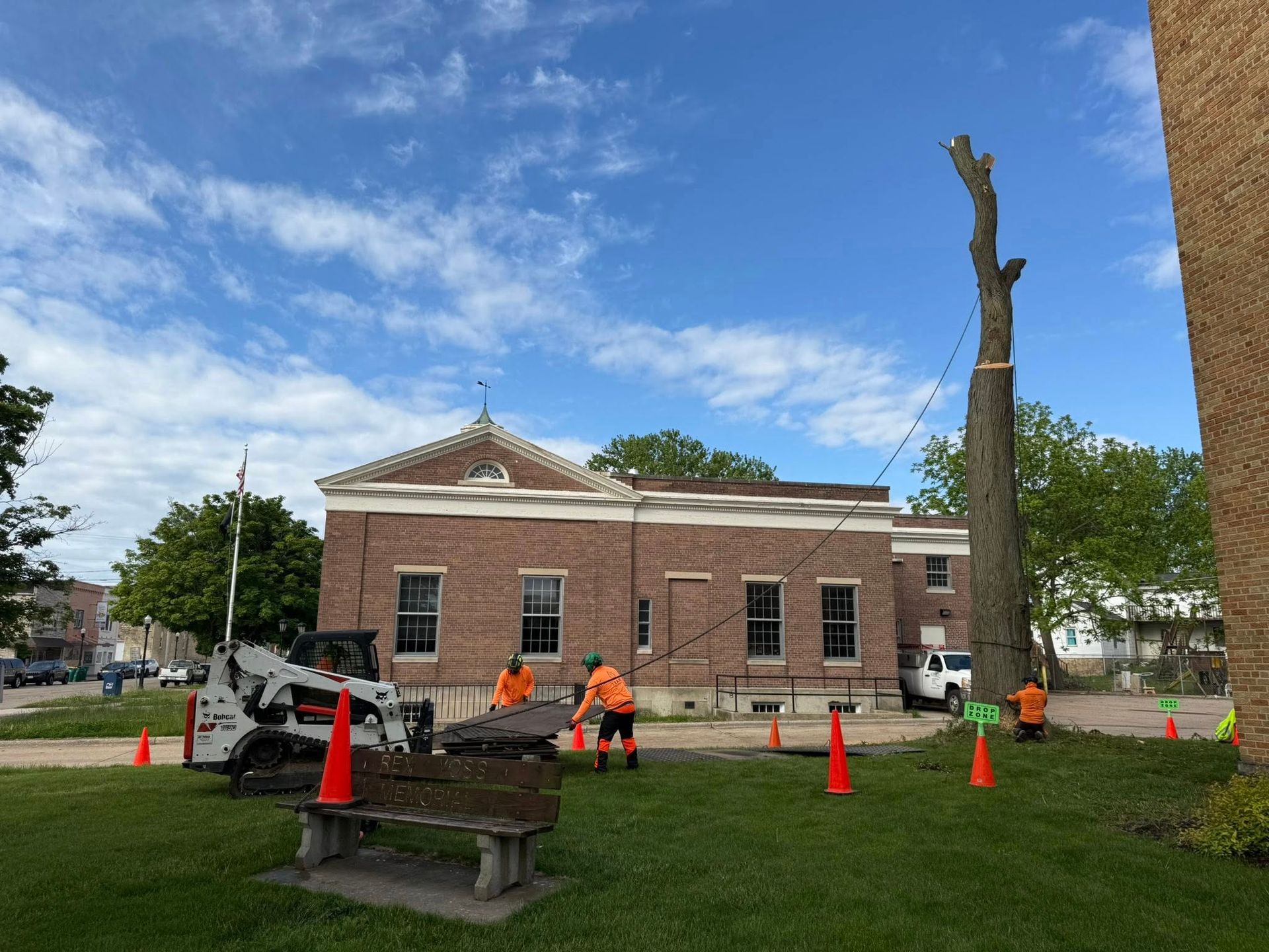 Tree being cut down in front of a brick building. Workers in orange vests, bobcat, cones, bench, blue sky.